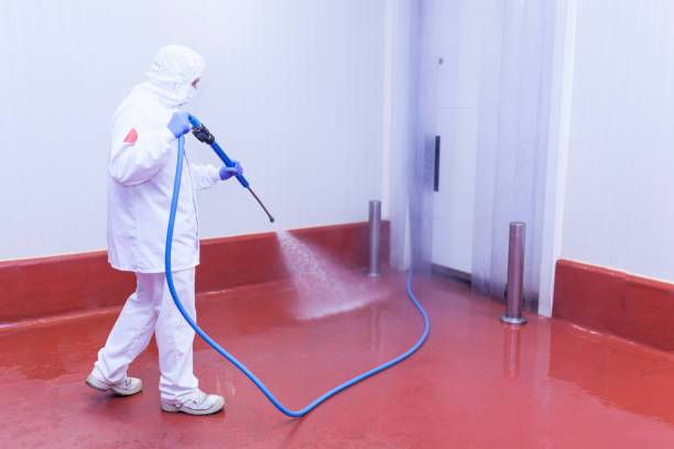 Best Building Exterior Washing  in Cedarville, OH