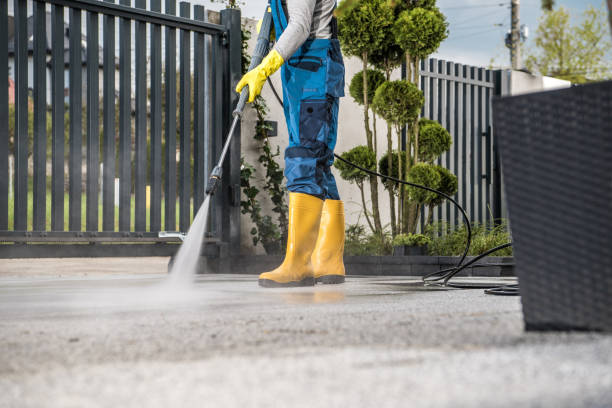 Best Driveway Pressure Washing  in Cedarville, OH